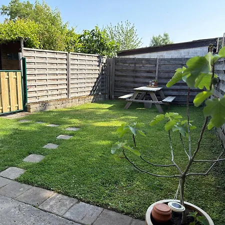 Cadier And Keer 1926